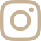 vector